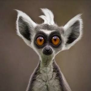 Meet your Posher, Kathi